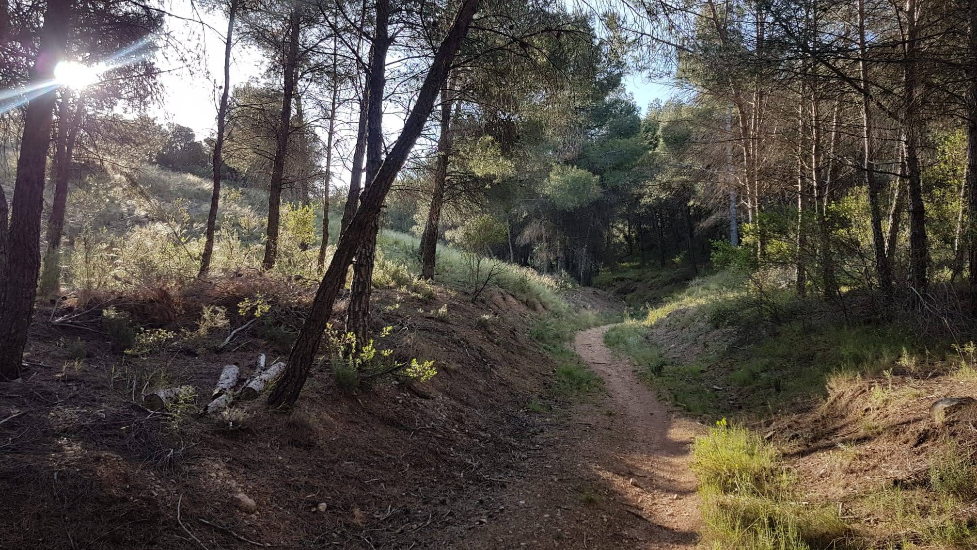RUTA S3 Ruta del Jabalí