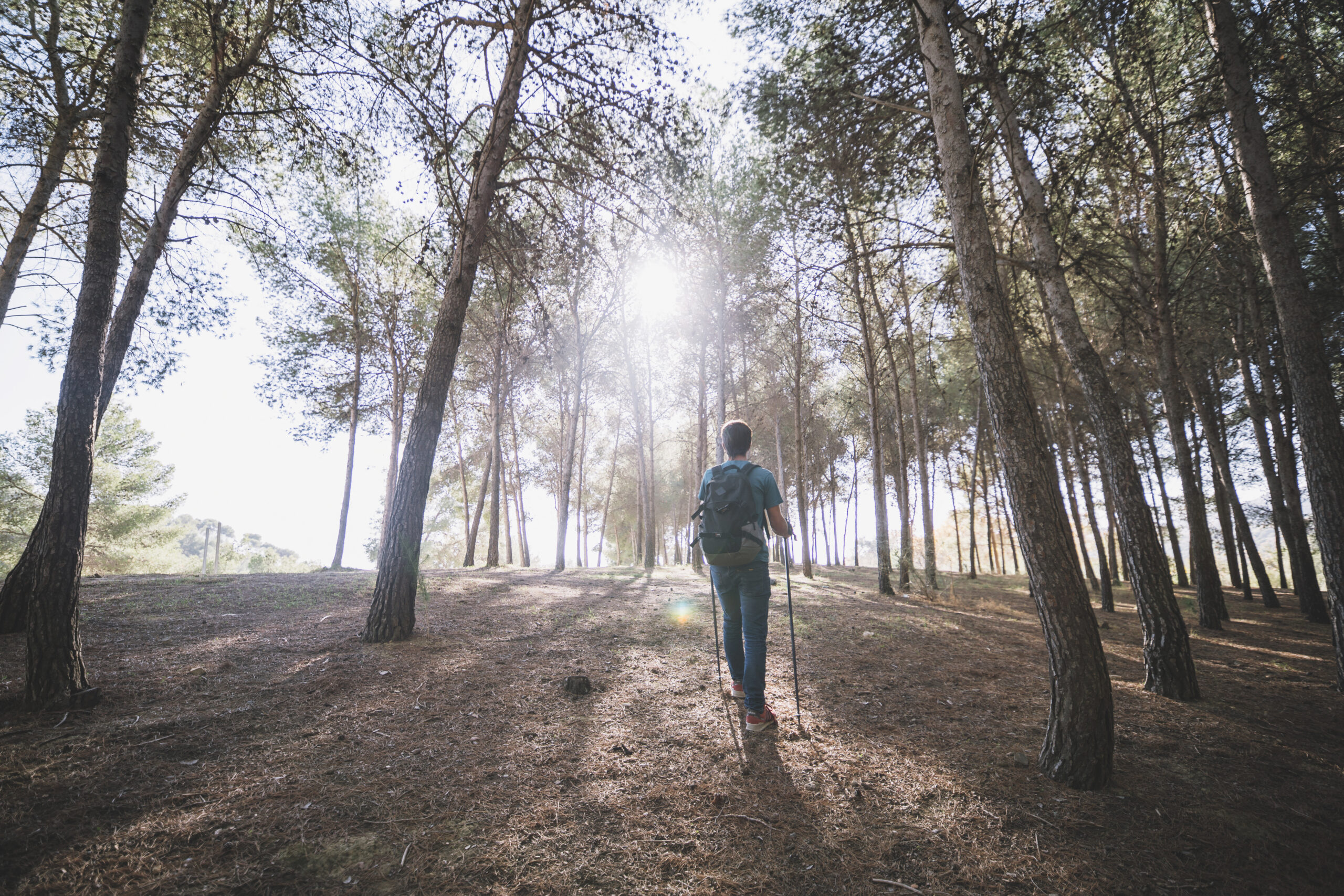 Persona caminando por el bosque.