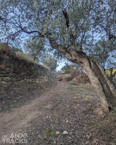 RUTA S2 Sendero Botánico Val de Molinos, Fuente Moreno y Piagordo