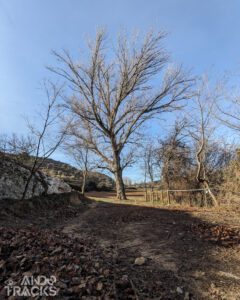 AndoTracks WP 240210 Sendero Botánico PXL 20240203 090819260.MP web